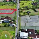 Bali Land For Sale: Beli Tanah di Bali Sebagai Investasi